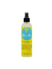 Curls Aloe & Blueberry Juice Curl Moisturizer