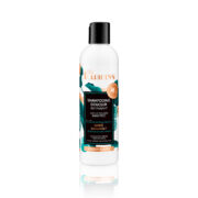 Shampooing revitalisen au karité KARIGINS 250ml