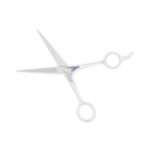 Ciseaux de coupe de cheveux  (Hair Cutting Scissors)